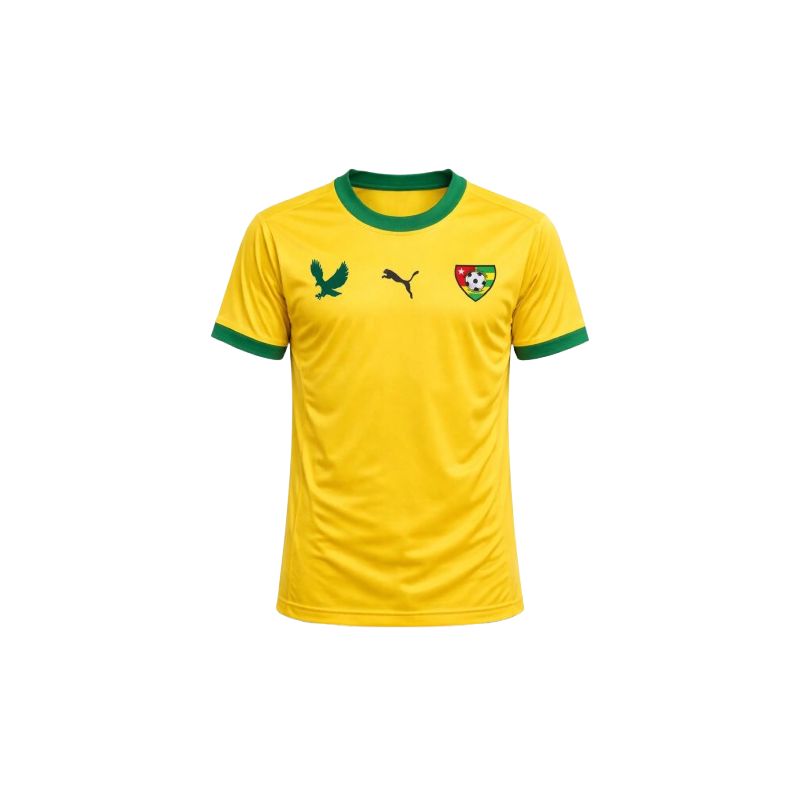 Maillot Togo national domicile